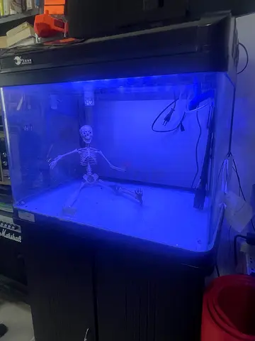 Aquarium with Cabinter