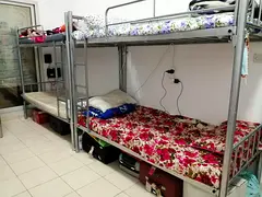 Bed space in Deira (Baniyas) for executive bachelors!