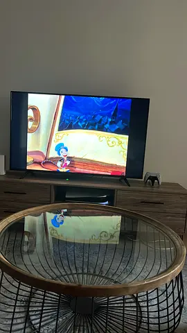 Large Flat Screen TV with Stand