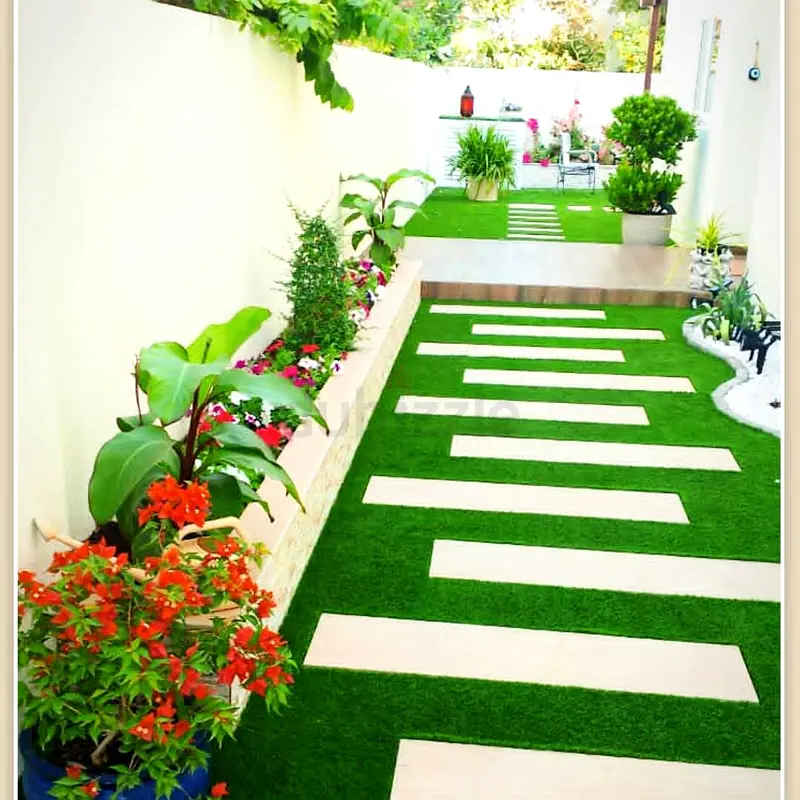 DPV_View_Image_7