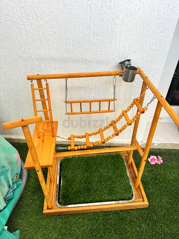Wooden indoor/outdoor birds sitting and climbing playset with ladder and swing
