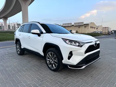 2019 Toyota RAV 4 照片 2