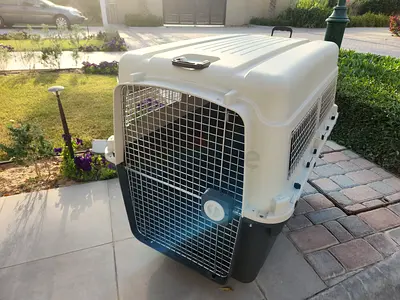 Dogs carriers for air travel Giant size