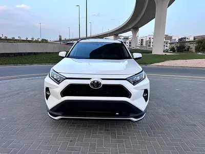 2019 Toyota RAV 4 照片 1