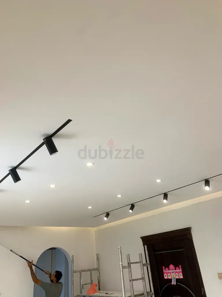 DPV_View_Image_1