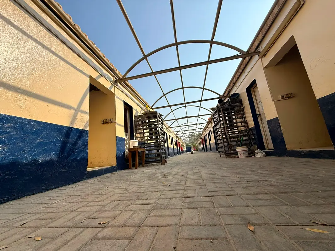 gallery-image