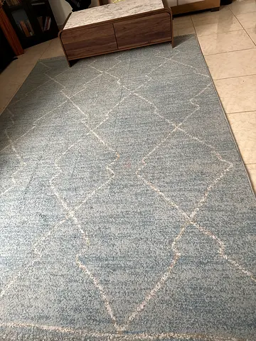 Living room carpet for sale