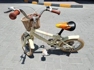 Kids 12-inch Bicycle with Basket and Flame Seat