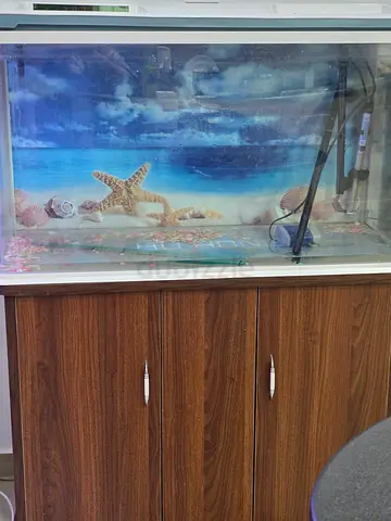 Fish tank along with Table cabinet