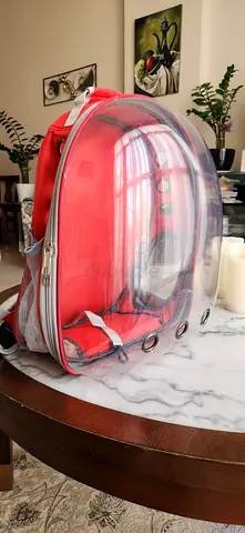 A pet bag