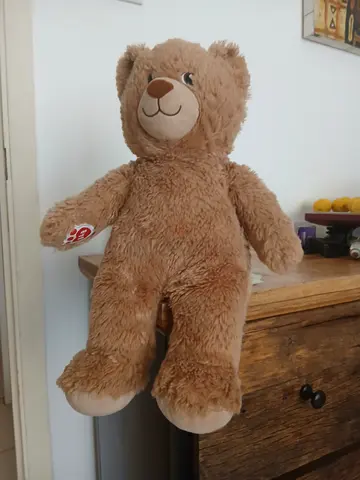 Bear Plushy never used unwanted gift