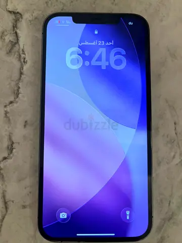 Apple iPhone 12 Pro Max