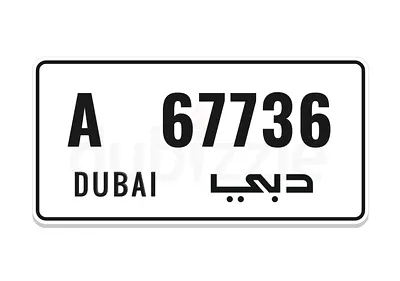 67736