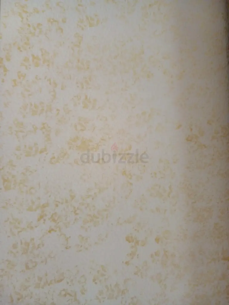 DPV_View_Image_2