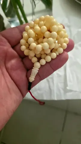كهرمان طبيعي حر-   جبس - 31.6 g