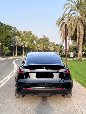 Tesla Model Y Standard, миниатюра 5