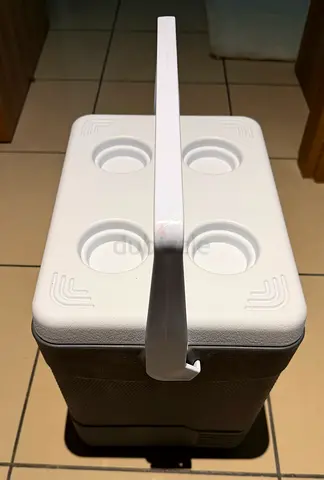 Picnic Cooler