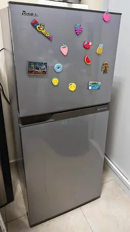 Toshiba Inverter Double Door Refrigerator
