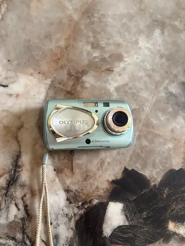 Vintage Digital Camera