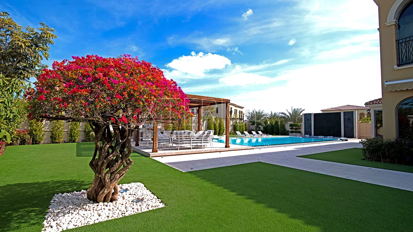 DPV_View_Image_1
