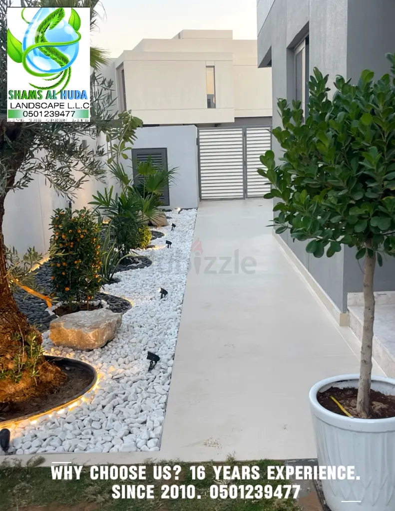 DPV_View_Image_4