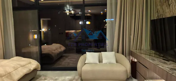 Fully Furnished Studio | With Private Parking | Downtown City View-Rented Unit