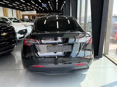 Tesla Model Y Performance, миниатюра 8