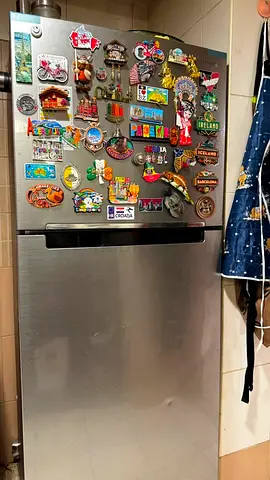 samsung fridge 295L