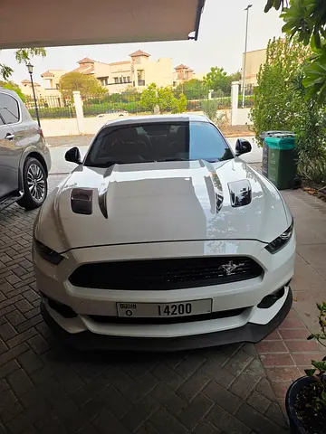 2017 FORD MUSTANG 照片 3