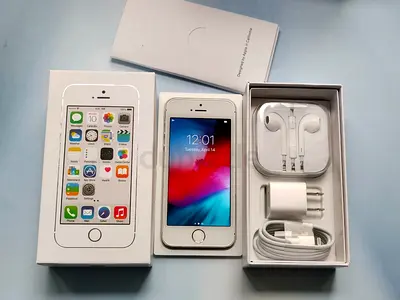 Apple iPhone 5s with box and accessories - Good condition