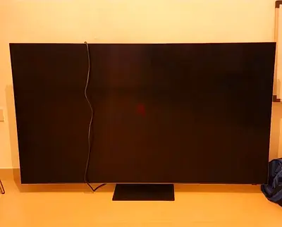 Samsung TV 65 inch (burned screen)