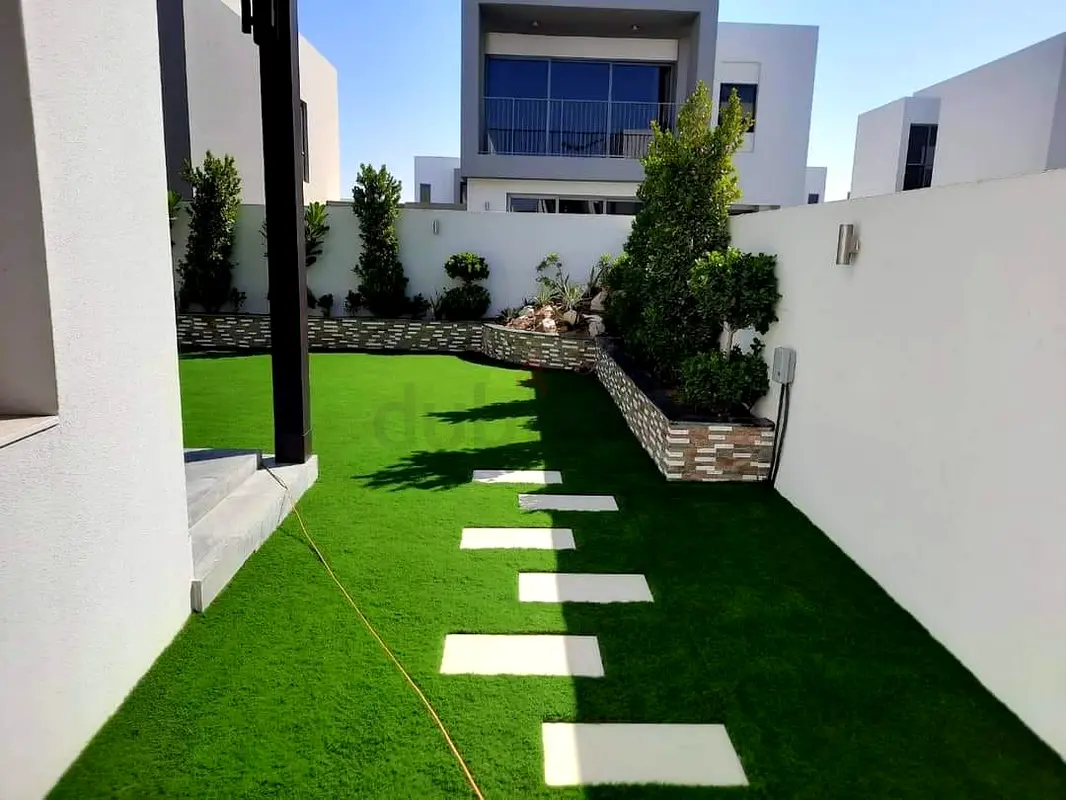 DPV_View_Image_8