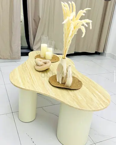Modern irregular shape coffee table