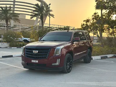 2020 Cadillac ESCALADE 缩略图 7