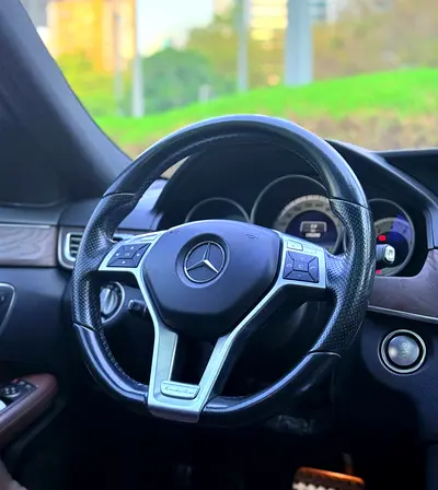 2015 Mercedes-BENZ E-CLASS photo 11