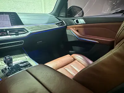 2019 BMW X7 photo 10