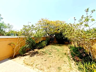 Converted | Single Row | Mint Condition | Full Privacy