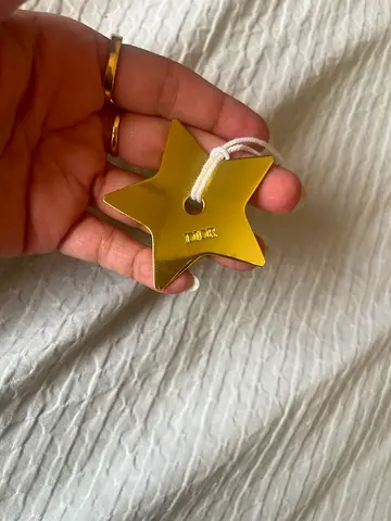 Gold-tone Star Pendant Necklace Charm (Pre-owned)