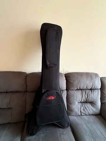 SKB gigbag for sale