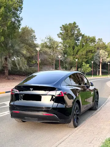 Tesla Model Y Standard, миниатюра 6