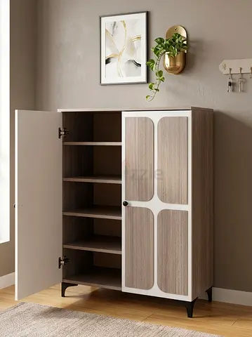 Modern Two-Door Storage Cabinet  Shoe rack with Shelves for Sale!