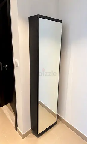 Hallway Shoe Storage Cabinet with Mirror shoe rack