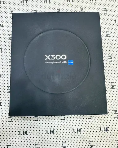 Vivo X300