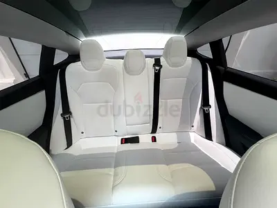 Tesla Model 3 Long Range, миниатюра 8