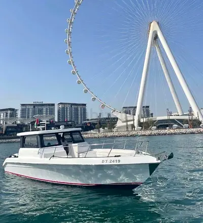 Walkaround 31ft