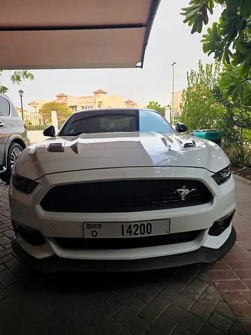 2017 FORD MUSTANG 照片 1