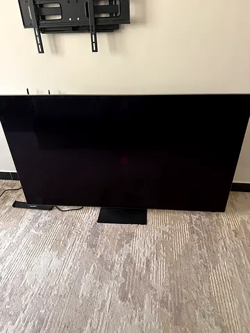 65 inch NEO QLED TV Falty Screen
