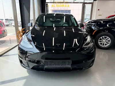 Tesla Model Y Performance, миниатюра 2
