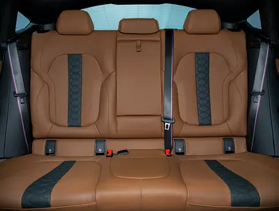2026 BMW X6 — миниатюра 13