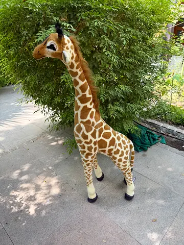 Giraffe for sale